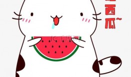 吃瓜表情图片包下载免费,轻松打造趣味聊天氛围